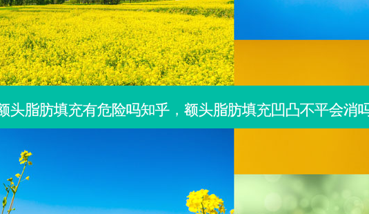 额头脂肪填充有危险吗知乎，额头脂肪填充凹凸不平会消吗-第1张图片-容颜讯