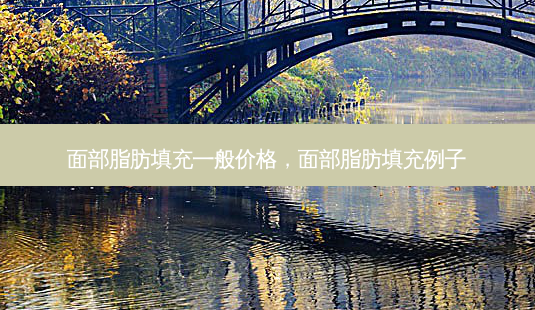 面部脂肪填充一般价格，面部脂肪填充例子-第1张图片-容颜讯