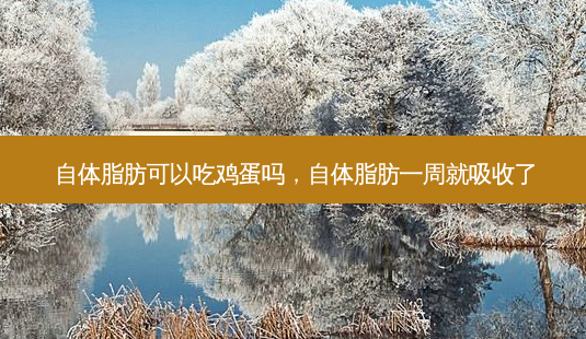 自体脂肪可以吃鸡蛋吗，自体脂肪一周就吸收了-第1张图片-容颜讯