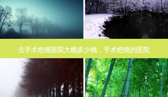 去手术疤痕医院大概多少钱，手术疤痕的医院-第1张图片-容颜讯