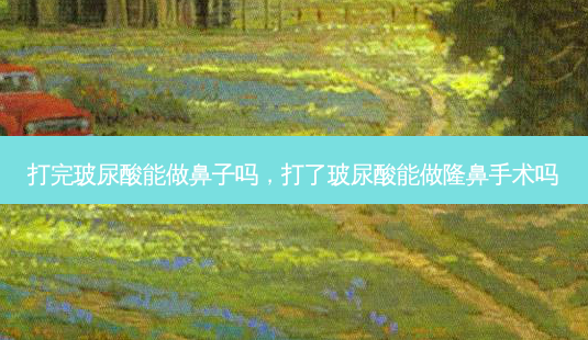 打完玻尿酸能做鼻子吗，打了玻尿酸能做隆鼻手术吗-第1张图片-容颜讯