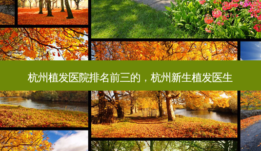 杭州植发医院排名前三的，杭州新生植发医生-第1张图片-容颜讯