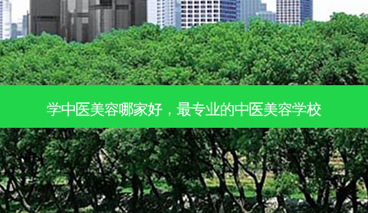 学中医美容哪家好,专业的中医美容学校-第1张图片-容颜讯 学中医美容哪家好,专业的中医美容学校-第1张图片-容颜讯
