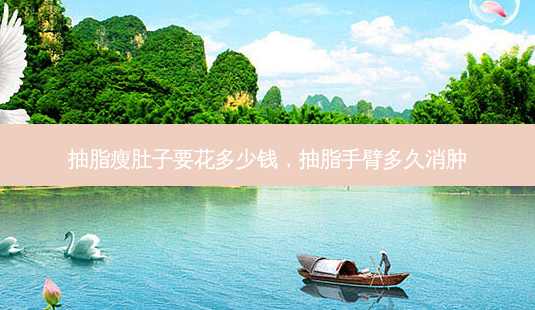 抽脂瘦肚子要花多少钱，抽脂手臂多久消肿-第1张图片-容颜讯
