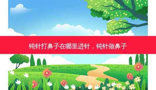钝针打鼻子在哪里进针，钝针做鼻子-第1张图片-容颜讯