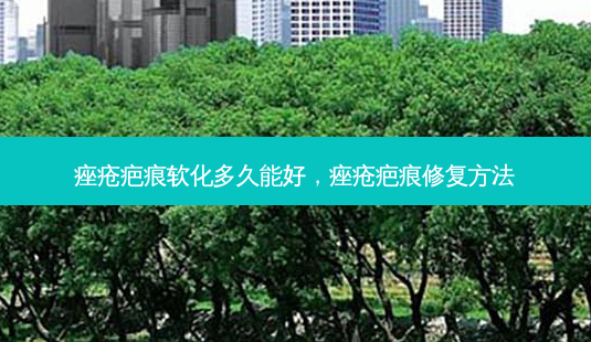 痤疮疤痕软化多久能好，痤疮疤痕修复 *** -第1张图片-容颜讯