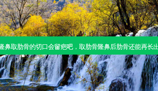 肋骨隆鼻取肋骨的切口会留疤吧,取肋骨隆鼻后肋骨还能再长出来吗-第1张图片-容颜讯 肋骨隆鼻取肋骨的切口会留疤吧,取肋骨隆鼻后肋骨还能再长出来吗-第1张图片-容颜讯