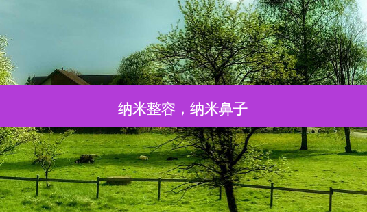纳米整容,纳米鼻子-第1张图片-容颜讯 纳米整容,纳米鼻子-第1张图片-容颜讯
