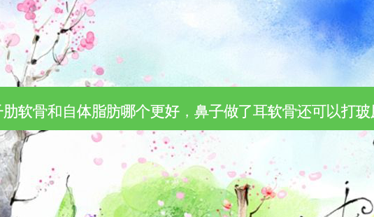 做鼻子肋软骨和自体脂肪哪个更好,鼻子做了耳软骨还可以打玻尿酸吗-第1张图片-容颜讯 做鼻子肋软骨和自体脂肪哪个更好,鼻子做了耳软骨还可以打玻尿酸吗-第1张图片-容颜讯