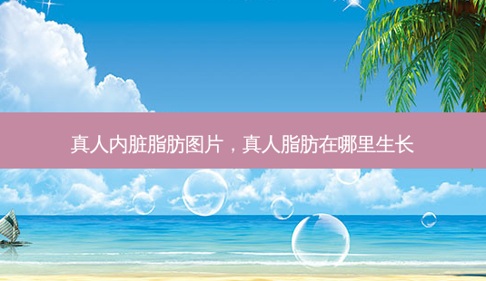 真人内脏脂肪图片,真人脂肪在哪里生长-第1张图片-容颜讯 真人内脏脂肪图片,真人脂肪在哪里生长-第1张图片-容颜讯