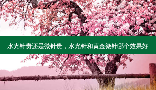 水光针贵还是微针贵,水光针和黄金微针哪个效果好-第1张图片-容颜讯 水光针贵还是微针贵,水光针和黄金微针哪个效果好-第1张图片-容颜讯