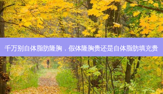 千万别自体脂肪隆胸,假体隆胸贵还是自体脂肪填充贵-第1张图片-容颜讯 千万别自体脂肪隆胸,假体隆胸贵还是自体脂肪填充贵-第1张图片-容颜讯