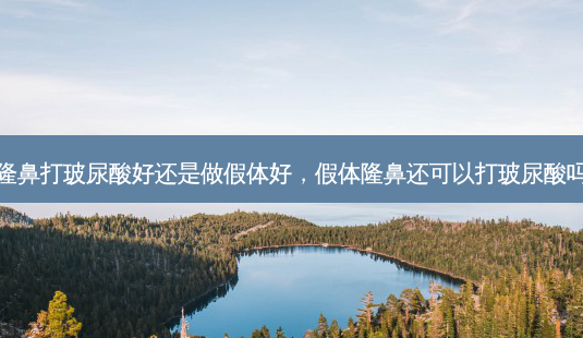 隆鼻打玻尿酸好还是做假体好，假体隆鼻还可以打玻尿酸吗-第1张图片-容颜讯