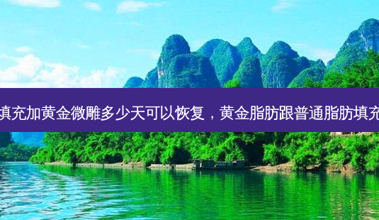 脂肪填充加黄金微雕多少天可以恢复,黄金脂肪跟普通脂肪填充区别-第1张图片-容颜讯 脂肪填充加黄金微雕多少天可以恢复,黄金脂肪跟普通脂肪填充区别-第1张图片-容颜讯