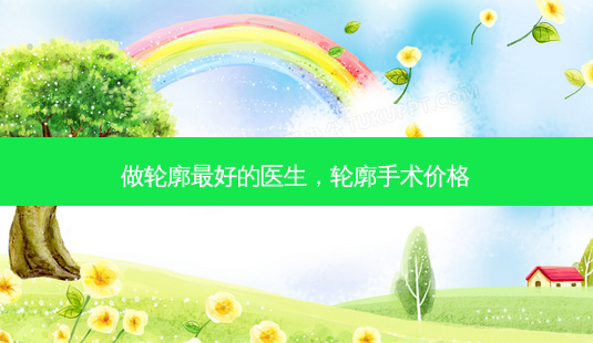 做轮廓好的医生，轮廓手术价格-第1张图片-容颜讯
