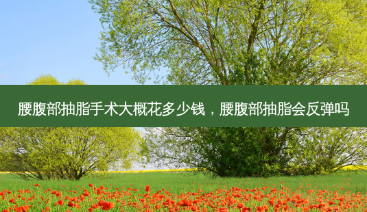 腰腹部抽脂手术大概花多少钱,腰腹部抽脂会反弹吗-第1张图片-容颜讯 腰腹部抽脂手术大概花多少钱,腰腹部抽脂会反弹吗-第1张图片-容颜讯