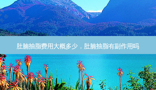 肚腩抽脂费用大概多少，肚腩抽脂有副作用吗-第1张图片-容颜讯