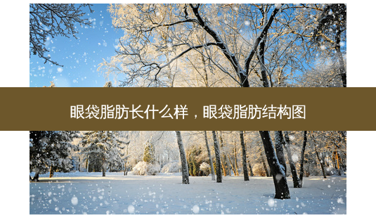 眼袋脂肪长什么样,眼袋脂肪结构图-第1张图片-容颜讯 眼袋脂肪长什么样,眼袋脂肪结构图-第1张图片-容颜讯