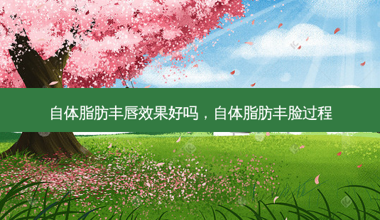 自体脂肪丰唇效果好吗，自体脂肪丰脸过程-第1张图片-容颜讯