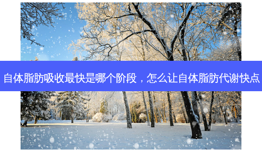 自体脂肪吸收快是哪个阶段,怎么让自体脂肪代谢快点-第1张图片-容颜讯 自体脂肪吸收快是哪个阶段,怎么让自体脂肪代谢快点-第1张图片-容颜讯