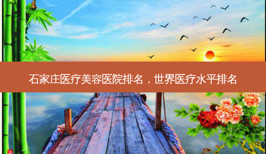 石家庄医疗美容医院排名,世界医疗水平排名-第1张图片-容颜讯 石家庄医疗美容医院排名,世界医疗水平排名-第1张图片-容颜讯