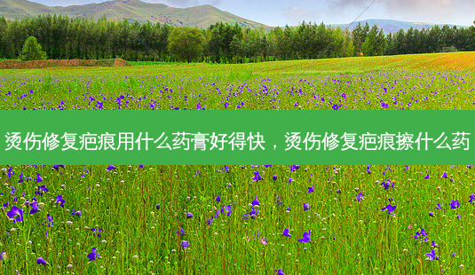 烫伤修复疤痕用什么药膏好得快，烫伤修复疤痕擦什么药-第1张图片-容颜讯