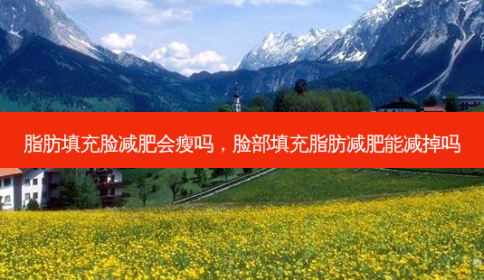 脂肪填充脸减肥会瘦吗，脸部填充脂肪减肥能减掉吗-第1张图片-容颜讯