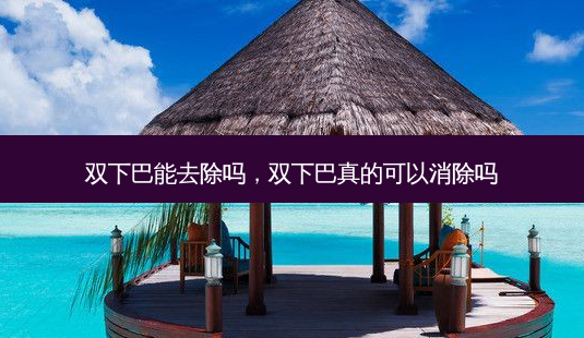 双下巴能去除吗,双下巴真的可以消除吗-第1张图片-容颜讯 双下巴能去除吗,双下巴真的可以消除吗-第1张图片-容颜讯