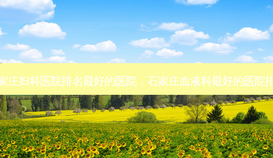 石家庄妇科医院排名好的医院,石家庄血液科好的医院排名-第1张图片-容颜讯 石家庄妇科医院排名好的医院,石家庄血液科好的医院排名-第1张图片-容颜讯