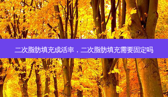 二次脂肪填充成活率,二次脂肪填充需要固定吗-第1张图片-容颜讯 二次脂肪填充成活率,二次脂肪填充需要固定吗-第1张图片-容颜讯