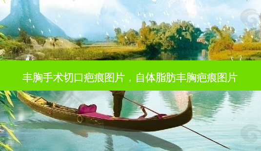 丰胸手术切口疤痕图片,自体脂肪丰胸疤痕图片-第1张图片-容颜讯 丰胸手术切口疤痕图片,自体脂肪丰胸疤痕图片-第1张图片-容颜讯