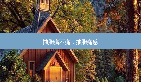 抽脂痛不痛,抽脂痛感-第1张图片-容颜讯 抽脂痛不痛,抽脂痛感-第1张图片-容颜讯