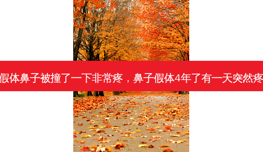 假体鼻子被撞了一下疼,鼻子假体4年了有一天突然疼-第1张图片-容颜讯 假体鼻子被撞了一下疼,鼻子假体4年了有一天突然疼-第1张图片-容颜讯