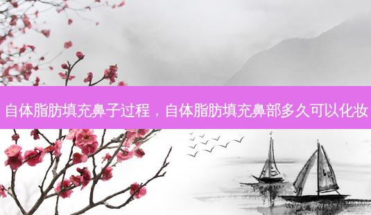 自体脂肪填充鼻子过程，自体脂肪填充鼻部多久可以化妆-第1张图片-容颜讯