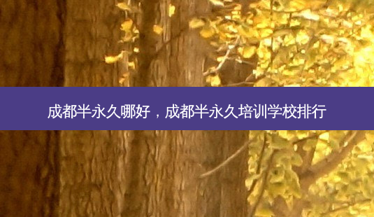成都半永久哪好，成都半永久培训学校排行-第1张图片-容颜讯