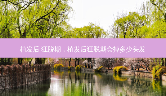 植发后 狂脱期，植发后狂脱期会掉多少头发-第1张图片-容颜讯