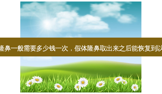 假体隆鼻一般需要多少钱一次,假体隆鼻取出来之后能恢复到以前吗-第1张图片-容颜讯 假体隆鼻一般需要多少钱一次,假体隆鼻取出来之后能恢复到以前吗-第1张图片-容颜讯