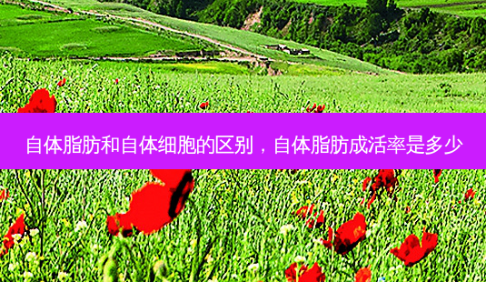 自体脂肪和自体细胞的区别,自体脂肪成活率是多少-第1张图片-容颜讯 自体脂肪和自体细胞的区别,自体脂肪成活率是多少-第1张图片-容颜讯