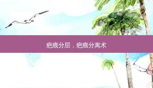 疤痕分层，疤痕分离术-第1张图片-容颜讯