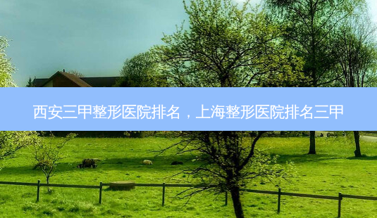 西安三甲整形医院排名，上海整形医院排名三甲-第1张图片-容颜讯