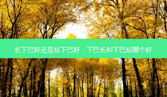 长下巴好还是短下巴好,下巴长和下巴短哪个好-第1张图片-容颜讯 长下巴好还是短下巴好,下巴长和下巴短哪个好-第1张图片-容颜讯