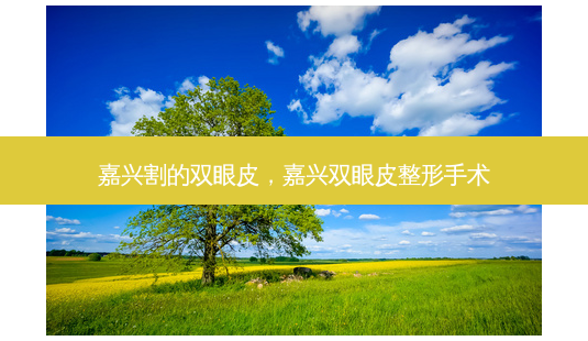 嘉兴割的双眼皮，嘉兴双眼皮整形手术-第1张图片-容颜讯