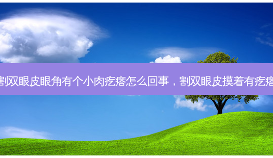 割双眼皮眼角有个小肉疙瘩怎么回事,割双眼皮摸着有疙瘩-第1张图片-容颜讯 割双眼皮眼角有个小肉疙瘩怎么回事,割双眼皮摸着有疙瘩-第1张图片-容颜讯