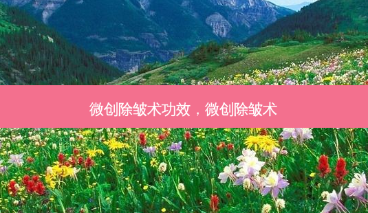 微创除皱术功效，微创除皱术-第1张图片-容颜讯