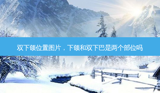 双下颌位置图片，下颌和双下巴是两个部位吗-第1张图片-容颜讯