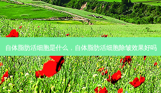 自体脂肪活细胞是什么,自体脂肪活细胞除皱效果好吗-第1张图片-容颜讯 自体脂肪活细胞是什么,自体脂肪活细胞除皱效果好吗-第1张图片-容颜讯