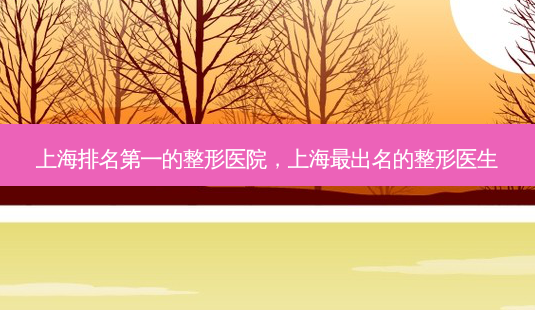 上海的整形医院,上海出名的整形医生-第1张图片-容颜讯 上海的整形医院,上海出名的整形医生-第1张图片-容颜讯