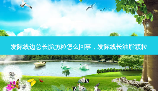 发际线边总长脂肪粒怎么回事,发际线长油脂颗粒-第1张图片-容颜讯 发际线边总长脂肪粒怎么回事,发际线长油脂颗粒-第1张图片-容颜讯