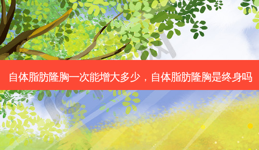 自体脂肪隆胸一次能增大多少，自体脂肪隆胸是终身吗-第1张图片-容颜讯