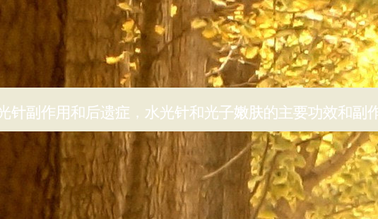 水光针副作用和后遗症,水光针和光子嫩肤的主要功效和副作用-第1张图片-容颜讯 水光针副作用和后遗症,水光针和光子嫩肤的主要功效和副作用-第1张图片-容颜讯